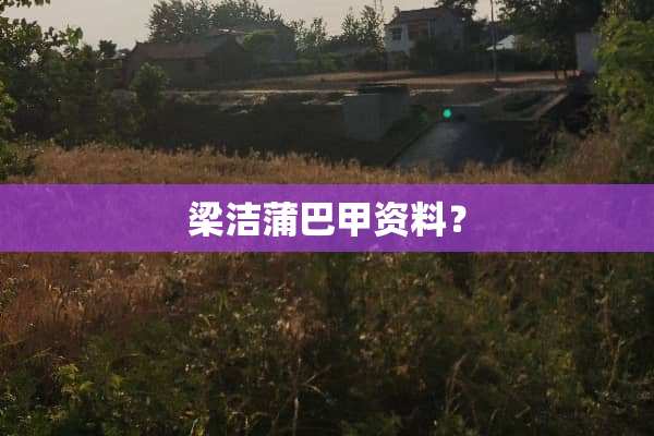 梁洁蒲巴甲资料？