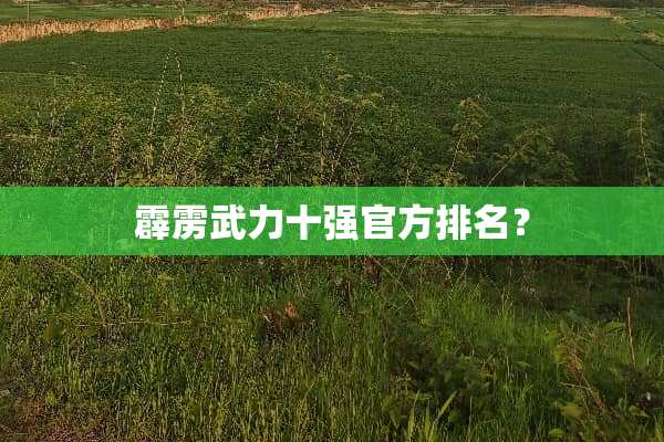 霹雳**十强官方排名？