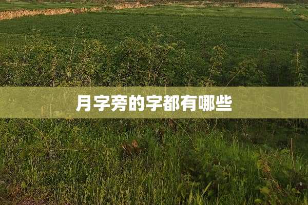 月字旁的字都有哪些