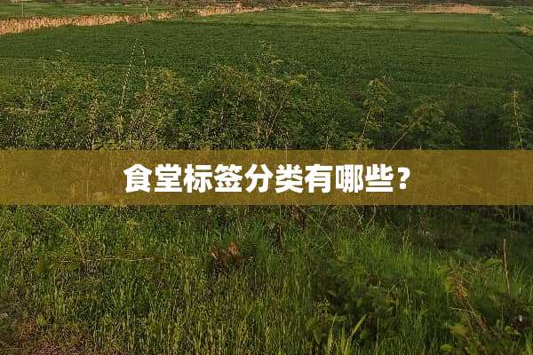 食堂标签分类有哪些？
