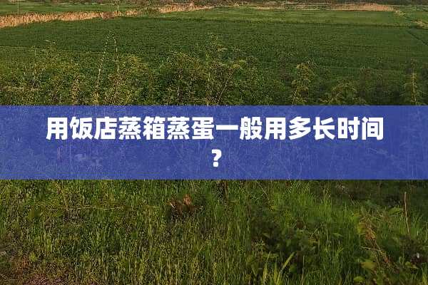 用饭店蒸箱蒸蛋一般用多长时间？