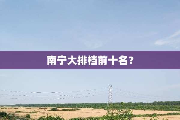 南宁大排档前十名？