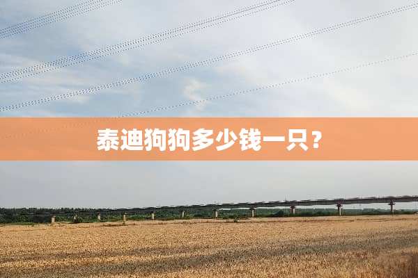 泰迪狗狗多少钱一只？