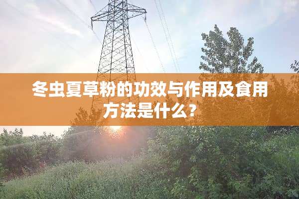 冬虫夏草粉的功效与作用及食用方法是什么？