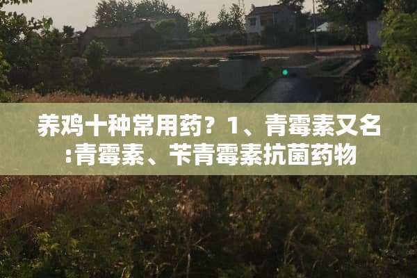 养鸡十种常用药？1、青霉素又名:青霉素、苄青霉素抗菌药物
