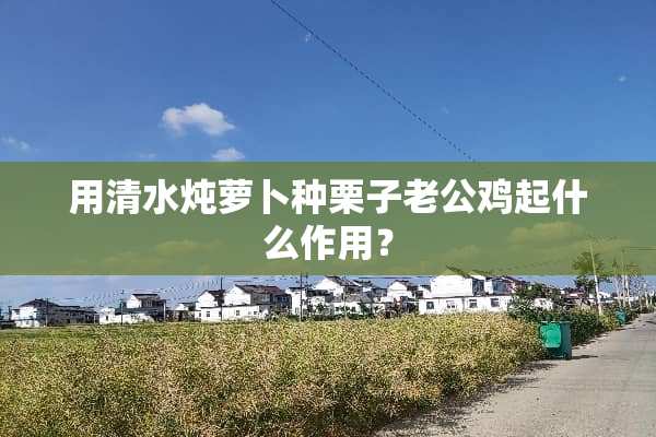用清水炖萝卜种栗子老公鸡起什么作用？