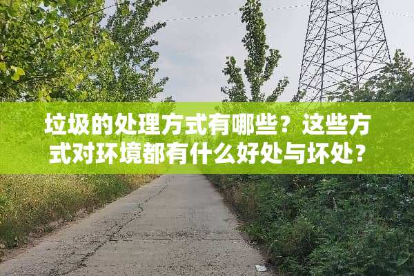 垃圾的处理方式有哪些？这些方式对环境都有什么好处与坏处？