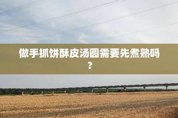 做手抓饼酥皮汤圆需要先煮熟吗？