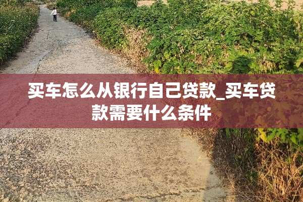 买车怎么从银行自己贷款_买车贷款需要什么条件