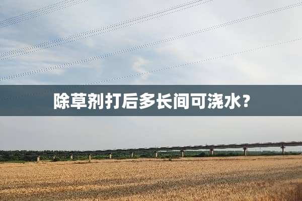除草剂打后多长间可浇水？