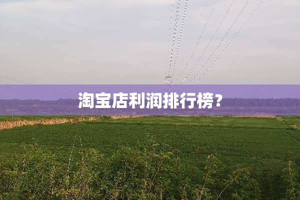 淘宝店利润排行榜？