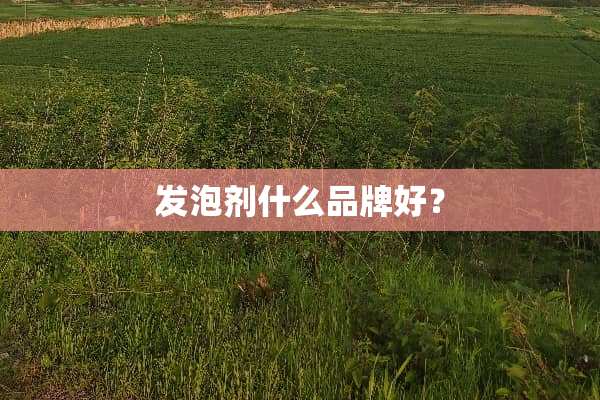 发泡剂什么品牌好？