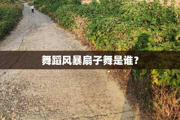 舞蹈风暴扇子舞是谁？