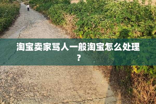 淘宝卖家骂人一般淘宝怎么处理？