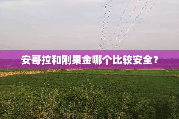 安哥拉和刚果金哪个比较安全？