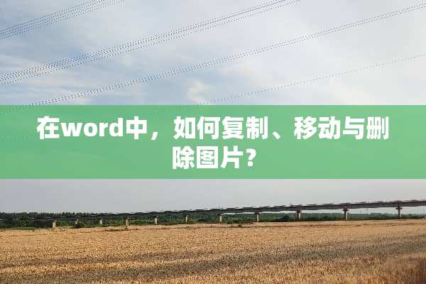 在word中，如何复制、移动与删除图片？