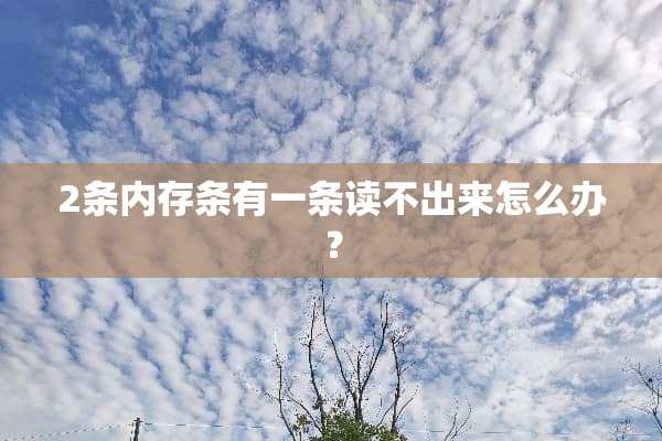 2条内存条有一条读不出来怎么办？