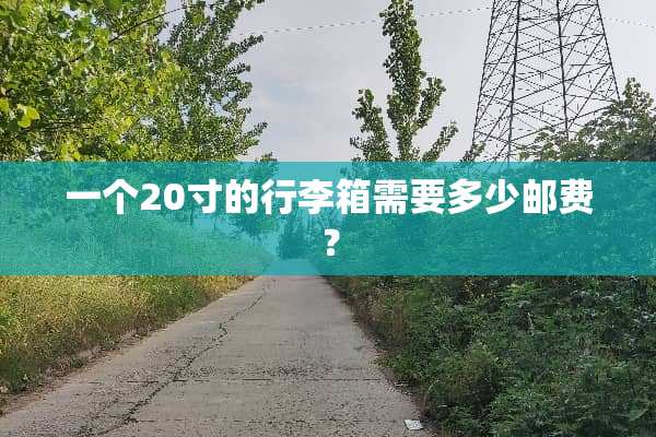 一个20寸的行李箱需要多少邮费？