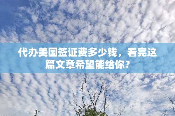 代办美国签证费多少钱，看完这篇文章希望能给你？