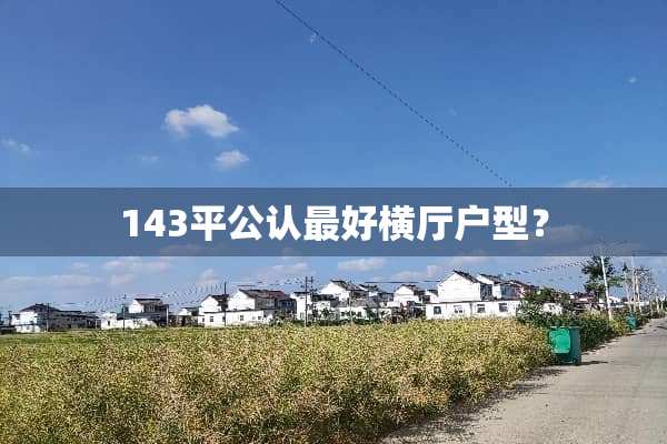 143平公认最好横厅户型？