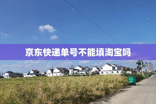 京东快递单号不能填淘宝吗