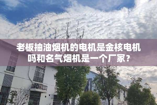 老板抽油烟机的电机是金核电机吗和名气烟机是一个厂冢？
