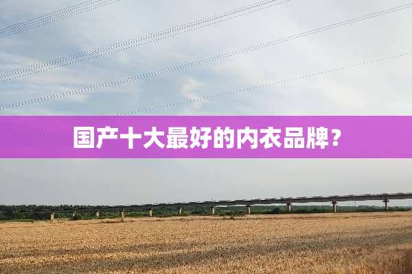 国产十大最好的**品牌？