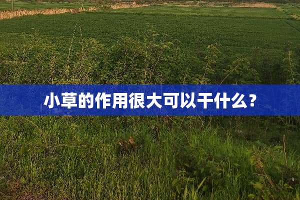 小草的作用很大可以干什么？