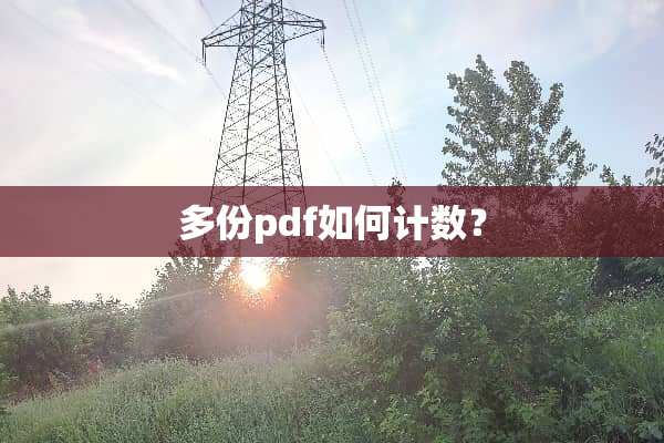 多份pdf如何计数？
