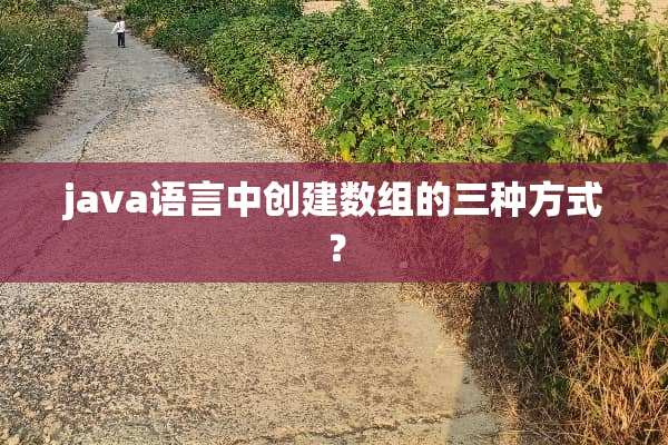 java语言中创建数组的三种方式？