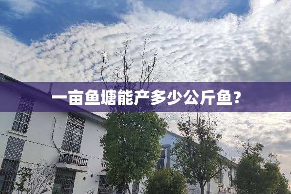 一亩鱼塘能产多少公斤鱼？