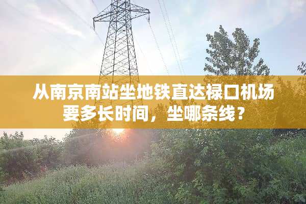 从南京南站坐地铁直达禄口机场要多长时间，坐哪条线？