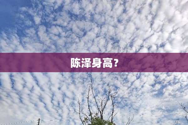 陈泽身高？