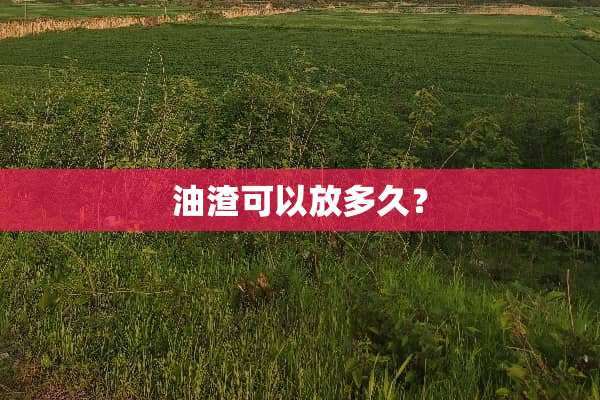 油渣可以放多久？