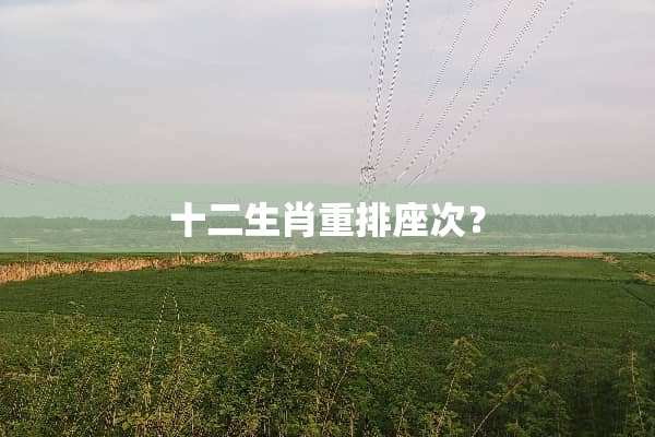 十二生肖重排座次？