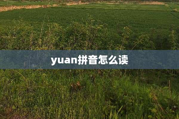 yuan拼音怎么读
