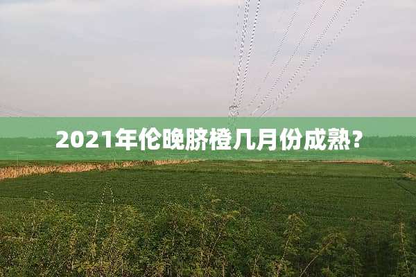 2021年伦晚脐橙几月份成熟？