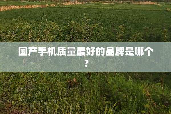 国产手机质量最好的品牌是哪个？