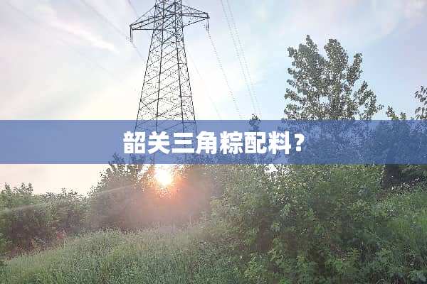 韶关三角粽配料？
