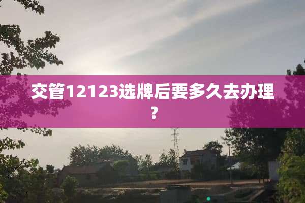 交管12123选牌后要多久去办理？