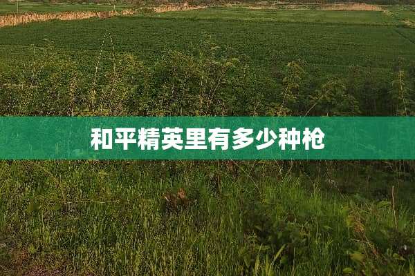 和平精英里有多少种*
