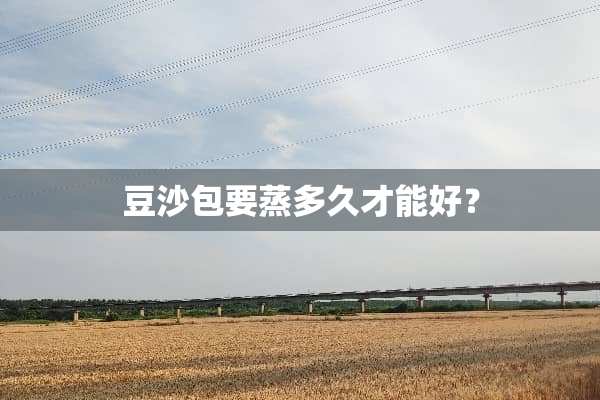 豆沙包要蒸多久才能好？