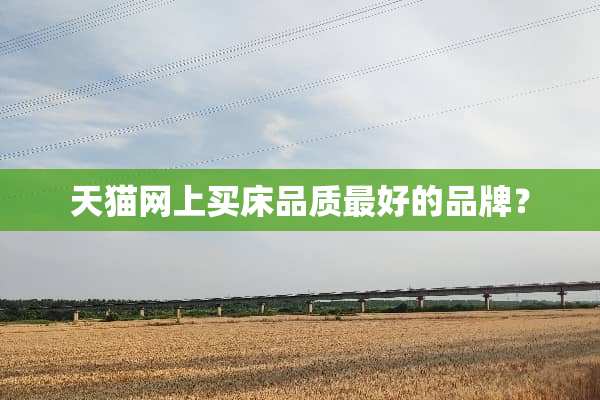 天猫网上买床品质最好的品牌？