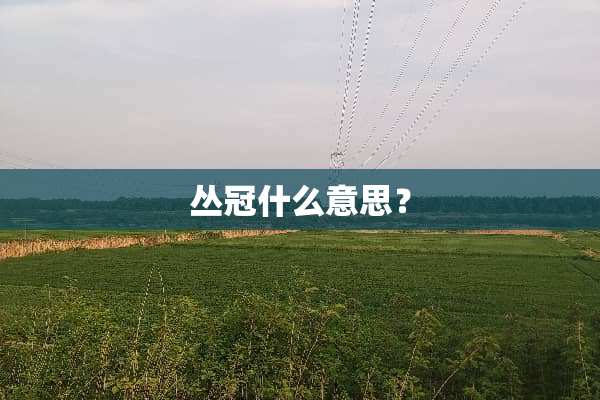 丛冠什么意思？