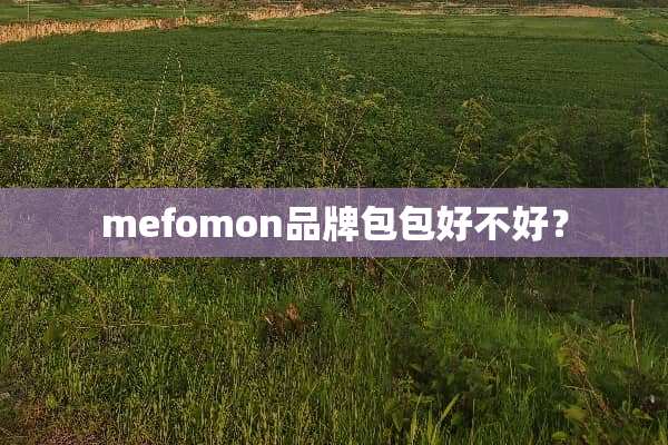 mefomon品牌包包好不好？