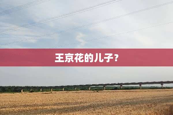 王京花的儿子？