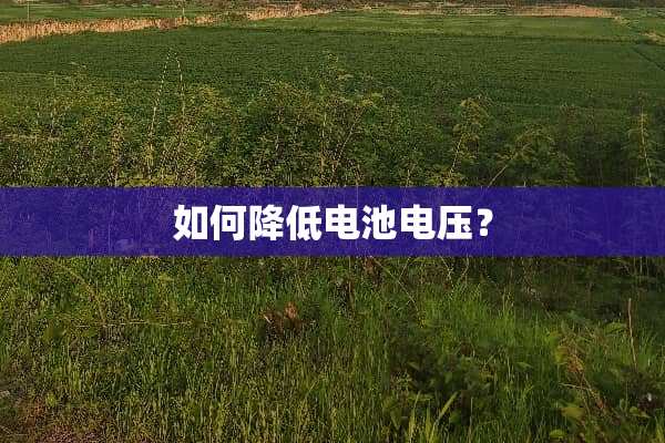 如何降低电池电压？