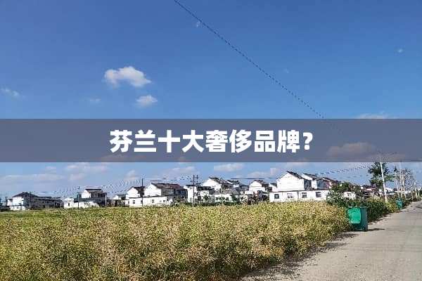 芬兰十大奢侈品牌？