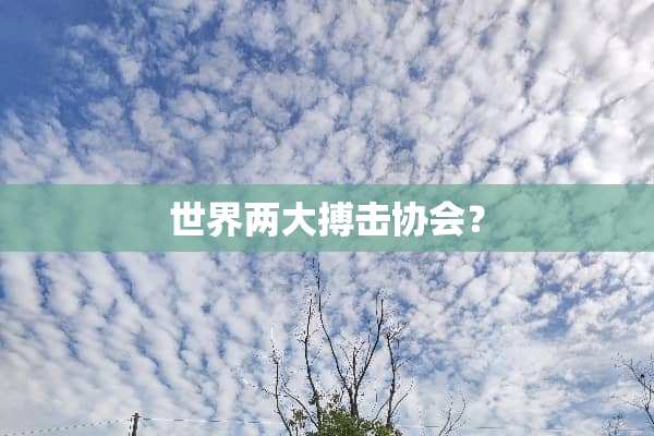 世界两大搏击协会？