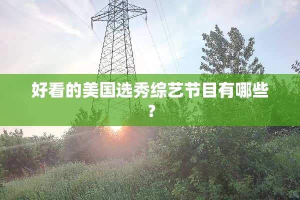 好看的美国选秀综艺节目有哪些？